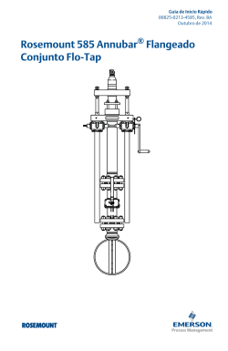 Portugu&ecirc;s (Portuguese- Europe)