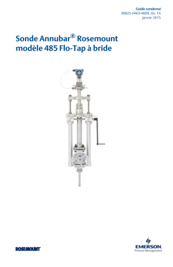 Fran&ccedil;ais (French)
