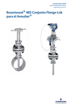 Espa&ntilde;ol (Spanish)