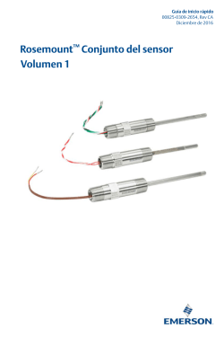 Espa&ntilde;ol (Spanish)