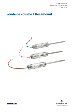 Fran&ccedil;ais (French)