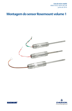 Portugu&ecirc;s (Portuguese- Brazil)