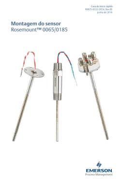 Portugu&ecirc;s (Portuguese- Brazil)