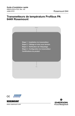 Fran&ccedil;ais (French)