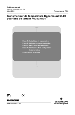 Fran&ccedil;ais (French)