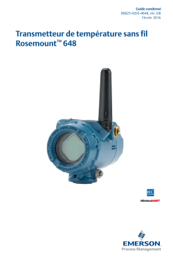 Fran&ccedil;ais (French)