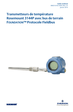 Fran&ccedil;ais (French)