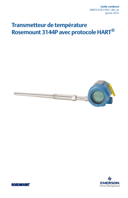 Fran&ccedil;ais (French)