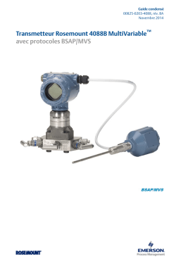 Fran&ccedil;ais (French)