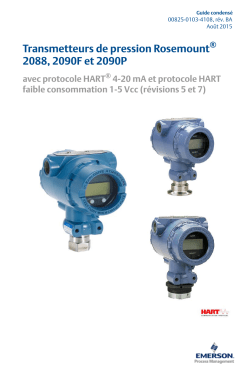 Fran&ccedil;ais (French)