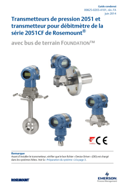 Fran&ccedil;ais (French)