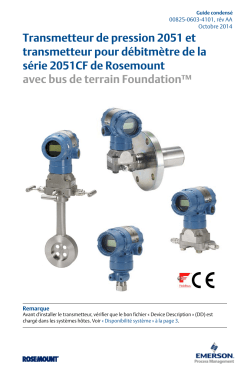 Fran&ccedil;ais (French)