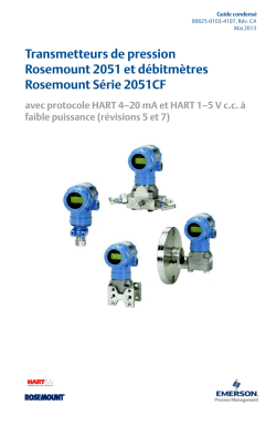 Fran&ccedil;ais (French)