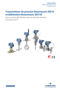 Fran&ccedil;ais (French)