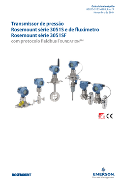 Portugu&ecirc;s (Portuguese- Brazil)