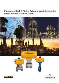 Pneumatic Rack Pinion Actuators Brochure - Metric