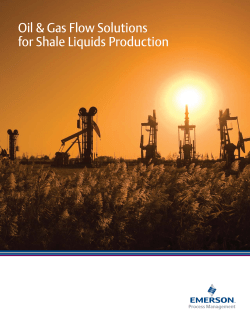 Brochure - Emerson Flow Solutions for Shale Liquids Production