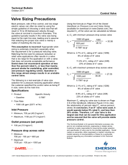 Daniel Control Valves - Precaution on Valve Sizing Bulletin