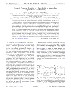 Stochastic Phenotype Transition of a Single Cell in an Intermediate Region of Gene State Switching