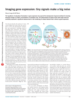 Imaging Gene Expression: Tiny Signals Make a Big Noise