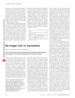 No Longer Lost in Translation