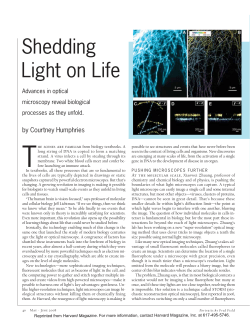 Shedding Light on Life Advances in optical microscopy reveal biological processes as they unfold
