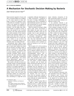A Mechanism for Stochastic Decision Making by Bacteria