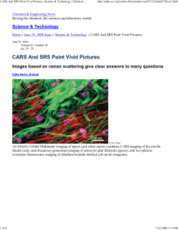 CARS and SRS Paint Vivid Pictures