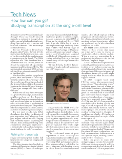 How Low Can You Go? Studying Transcription At The Single-Cell Level