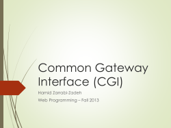 Common Gateway Interface (CGI)