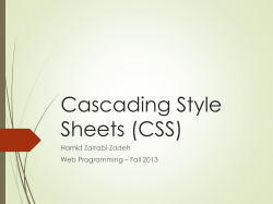 Cascading Style Sheets (CSS)