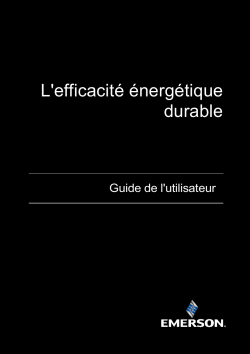 L'efficacit&eacute; &eacute;nerg&eacute;tique durable - Guide de l'utilisateur
