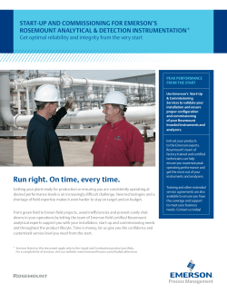 Flyer: Lifecycle Service Startup and Commissioning