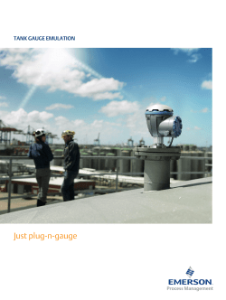 Emulation Flyer
