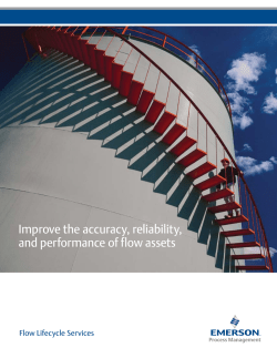 Flow Lifecycle Services capabilities