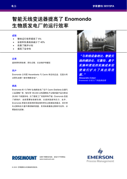 智能无线变送器提高了 Enomondo 生物质发电厂的运行效率