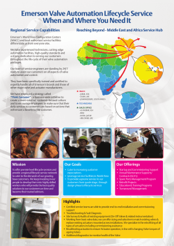 MEA Lifecycle Service
