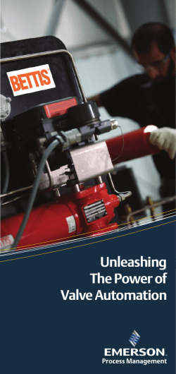 Unleashing the Power of Valve Automation