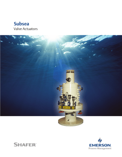 Subsea Rotary Vane
