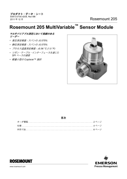 日本語 (Japanese)