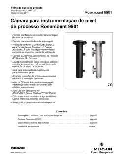 Portugu&ecirc;s (Portuguese-Brazil)