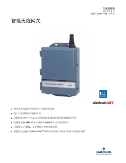 中文 (Chinese)