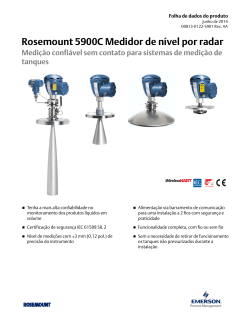 Portugu&ecirc;s (Portuguese-Brazil)