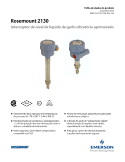 Portugu&ecirc;s (Portuguese-Brazil)