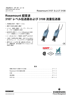 日本語 (Japanese)