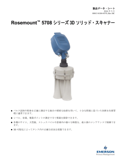 日本語 (Japanese)