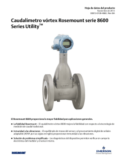 Espa&ntilde;ol (Spanish)