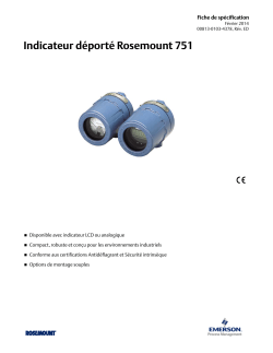 Fran&ccedil;ais (French)