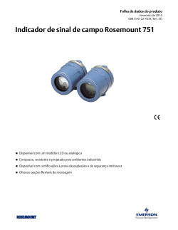 Portugu&ecirc;s (Portuguese-Brazil)