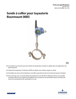 Fran&ccedil;ais (French)